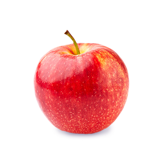 icon ernaehrungsberatung